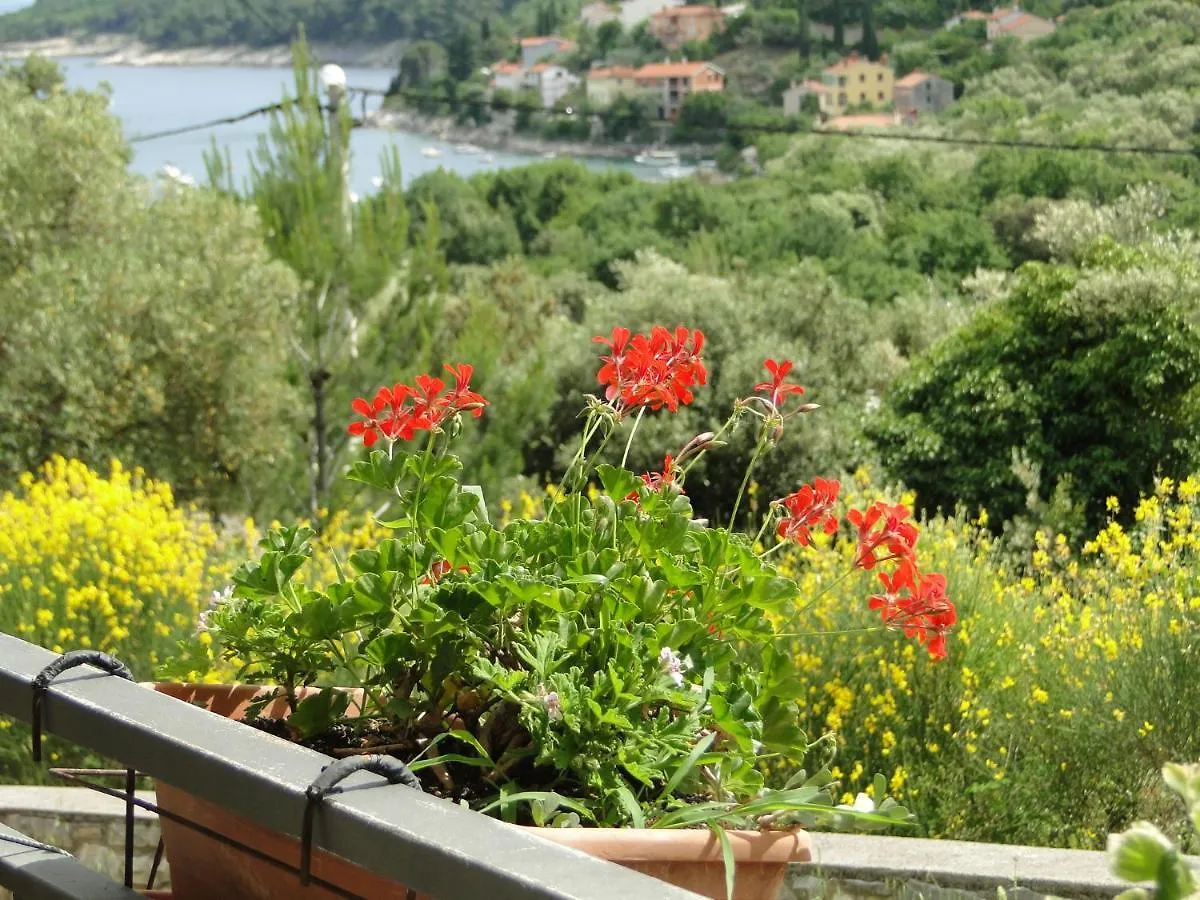 Apartment Ferienwohnung Vedran Labin  Kroatien